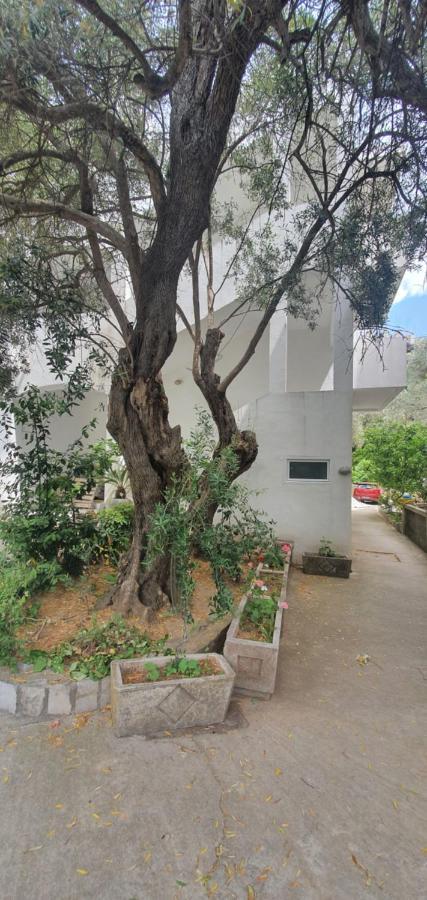 Bečići Guest House Mia المظهر الخارجي الصورة
